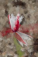 Tulip cubism in red and white