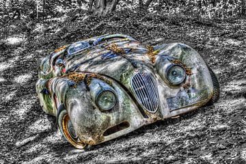 Vintage Jaguar by Bob Karman