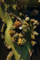 Le vieux château d'eau de Zaltbommel en automne.