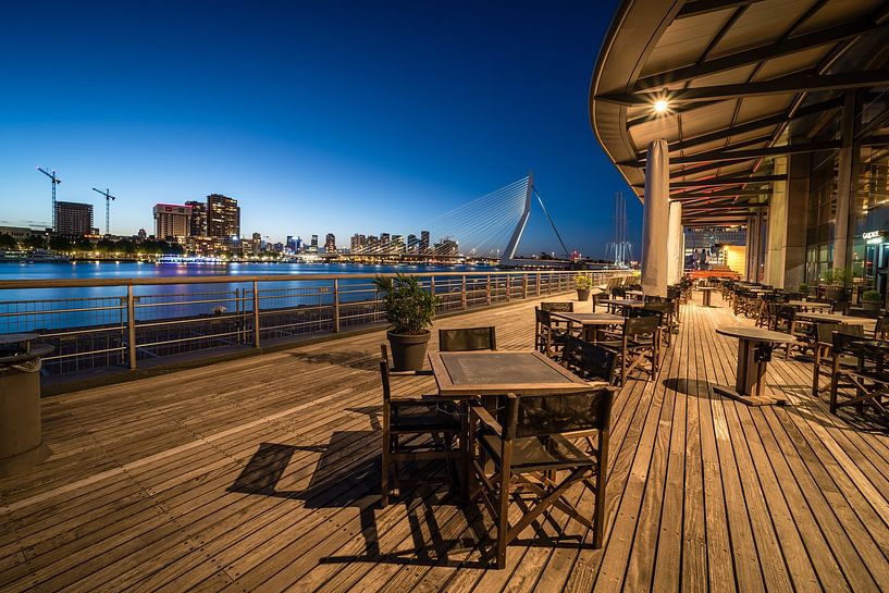 Rotterdam with the Erasmus Bridge in the background by Jolanda Aalbers