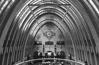 Neude library, Utrecht by Framed by Elisabeth thumbnail