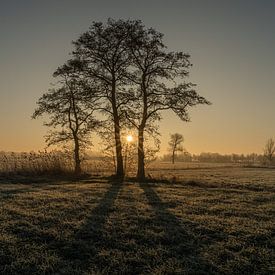 Koude ochtend aan de Dommel voor het werk van Bart Cox