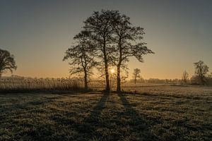 Kalter Morgen an der Dommel vor der Arbeit von Bart Cox