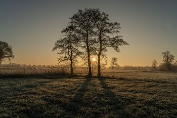 Koude ochtend aan de Dommel voor het werk