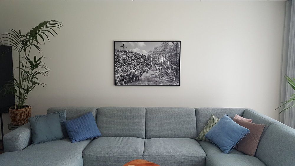 De Muur van Geraardsbergen  van Leon van Bon 