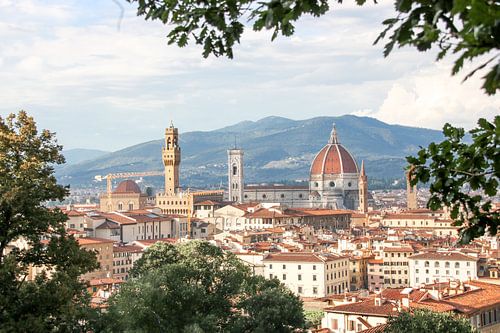 Dromerig Uitzicht over Florence
