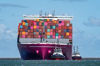 Containerschip ONE Swan.