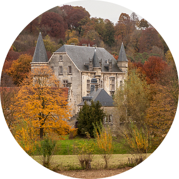 Kasteel Schaloen in Oud-Valkenburg in herfstkleuren  van John Kreukniet
