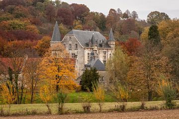 Kasteel Schaloen in Oud-Valkenburg in herfstkleuren  van John Kreukniet