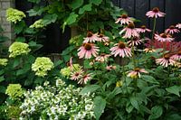 colours in the garden