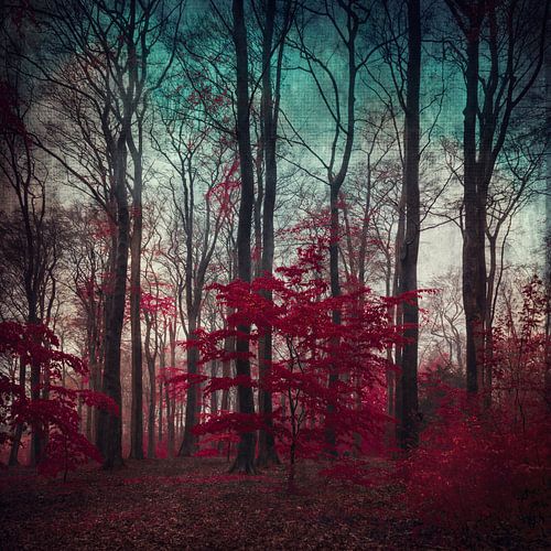 Mystischer Wald