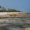 Visser op het strand van Zanzibar van Easycopters