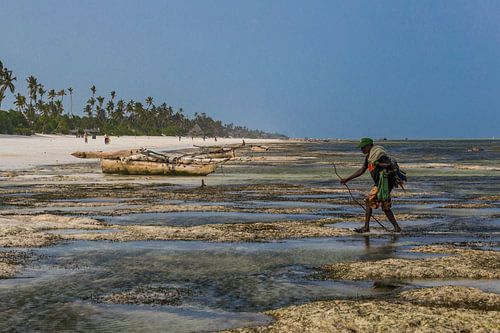 Visser op het strand van Zanzibar