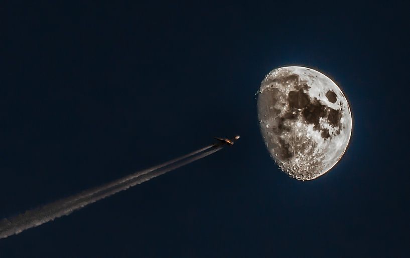 Fly to the moon! von Sidney Portier