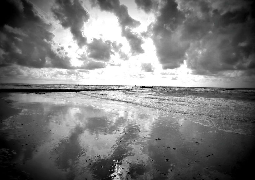monochrome zee landschappen von erik boer