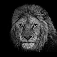 Der König