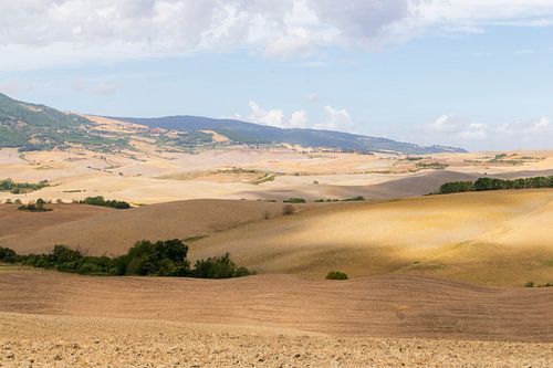 Glooiende heuvels van het Toscaanse landschap