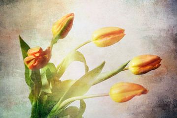 Tulpenboeket oranje van Claudia Moeckel
