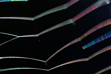 Spinnenweb in een kleurenspektakel 1 van Anne Ponsen