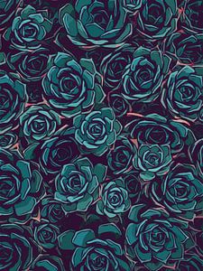Draufsicht mehrere Sukkulenten - Illustrationsstil - Pflanzenliebe