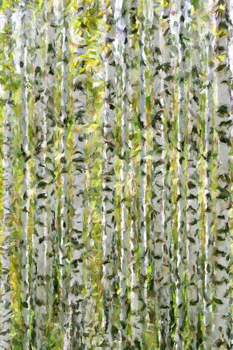 bouleau II sur Marion Tenbergen