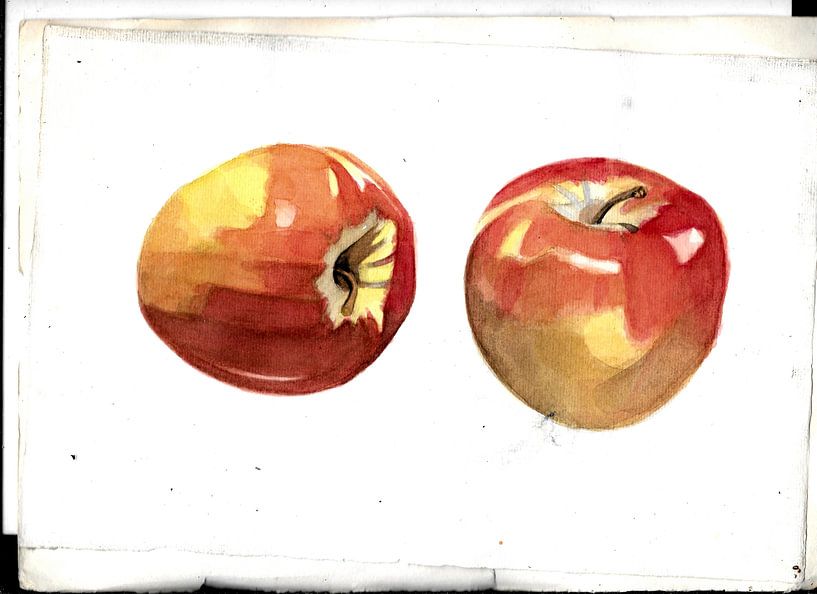 FRUIT by Vincent Jacobs