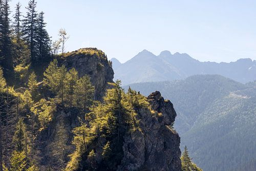 Het schilderachtige landschap van het Tatra-Nationaalpark in Polen