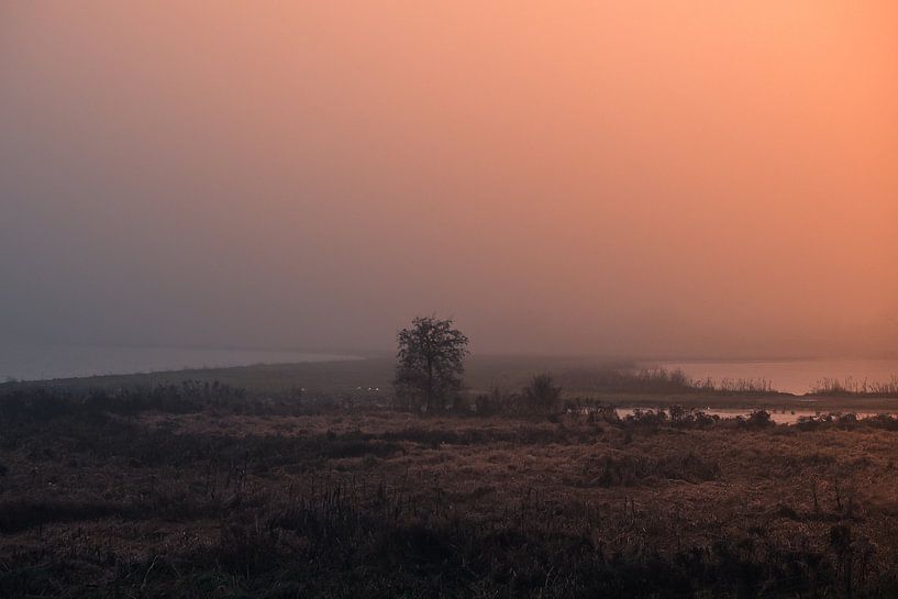 Winter Glow Landscape by Wendy Drent