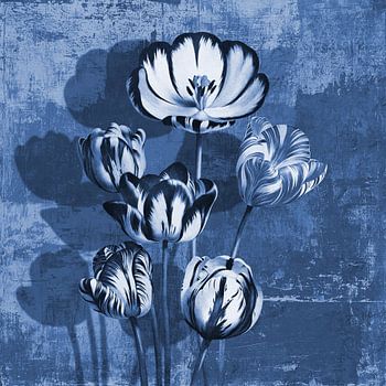 Tulips - Shades of Blue