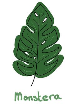 Leaf Monstera - 'Flora' series