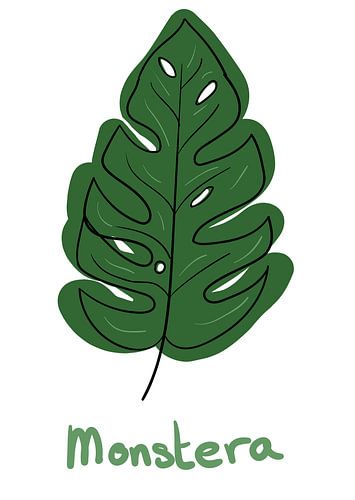 Leaf Monstera - 'Flora' series