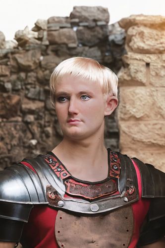 Keizer Augustus: Machtige Leider van het Oude Romeinse Rijk - Een Erfenis van Wijsheid en Macht