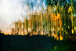 Golden Autumn Motion von Alberé de Ville