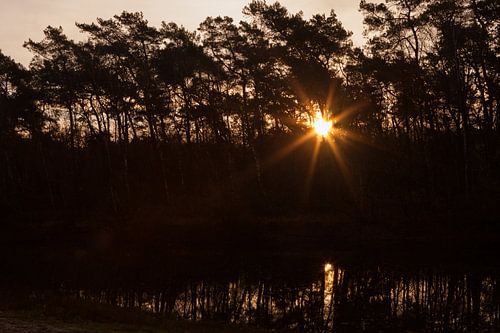 Zonsopkomst bossen en water