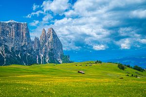 Schlernmassiv von der Seiser Alm aus gesehen