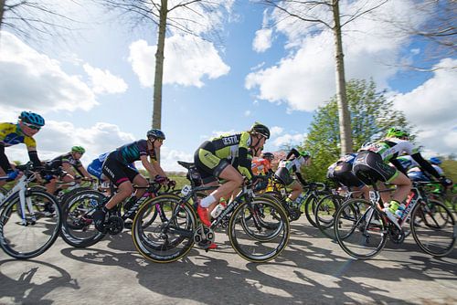 Omloop van Borsele