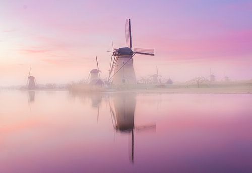 Misty windmills during sunrise