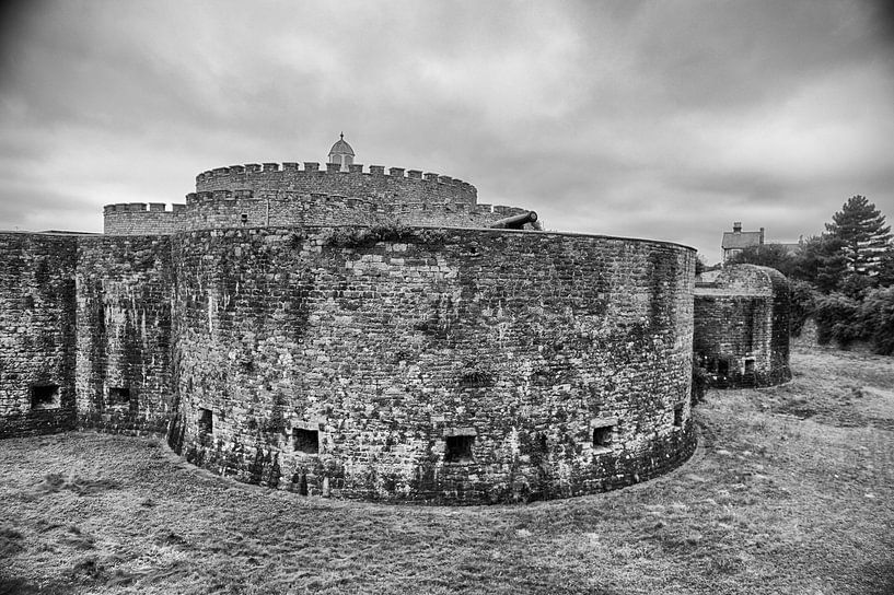 Deal Castle van Richard Wareham