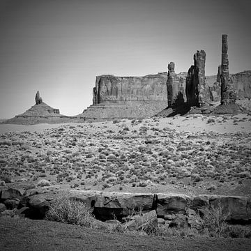 MONUMENT VALLEY Totem Pole black&white by Melanie Viola