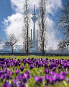 Frühling im Rheinland, Düsseldorf, Deutschland