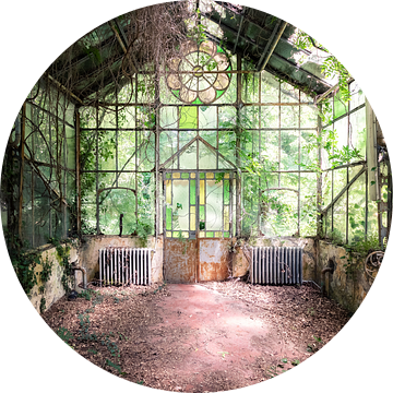 Verlaten kas van Times of Impermanence