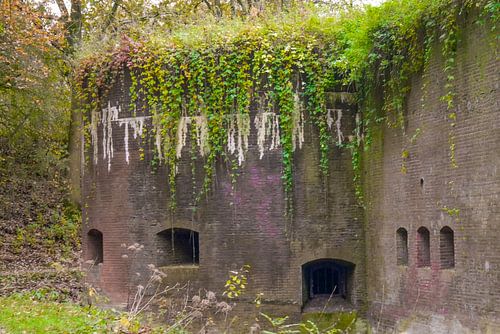 Fort bij Vechten -  overgroeide muur