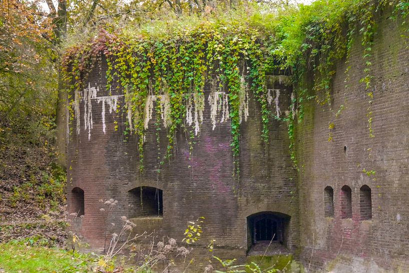 Fort near Fighting - overgrown wall by Wout van den Berg