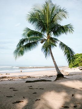 Costa Rica by Raisa Zwart