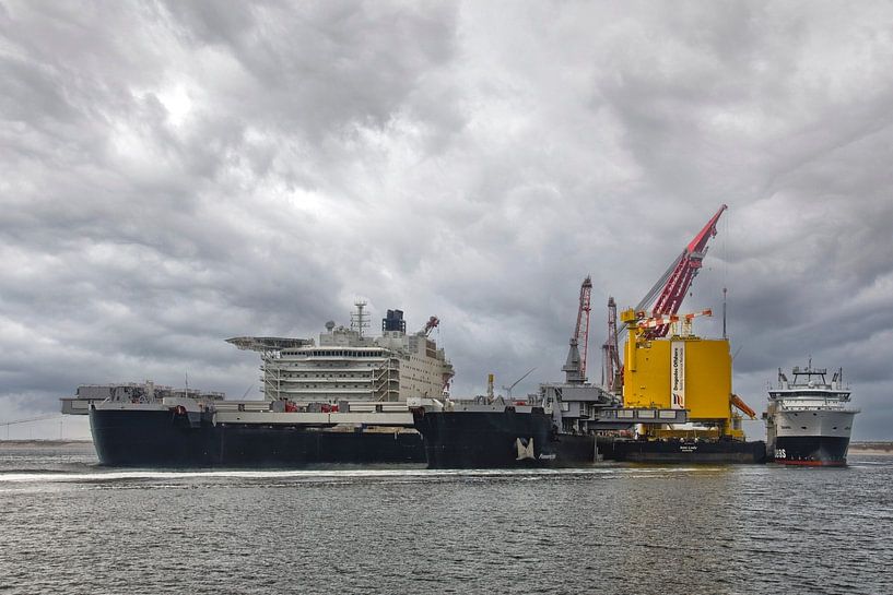 Der Pioniergeist der Maasvlakte 2 von Tilly Meijer