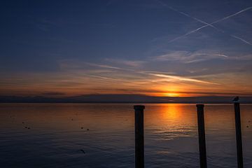 BODENSEE : ZONSONDERGANG IN FRIEDRICHSHAFEN van Michael Nägele