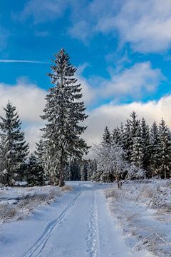 Eerste winterwandeling op de Rennsteig van Oliver Hlavaty