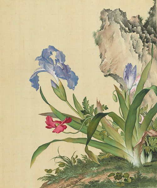 Iris, Giuseppe Castiglione by Creative Masters Old Masters