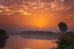 Sonne gegen Nebel I