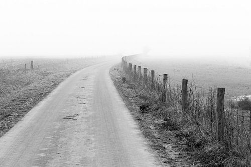 Landschap in dichte mist